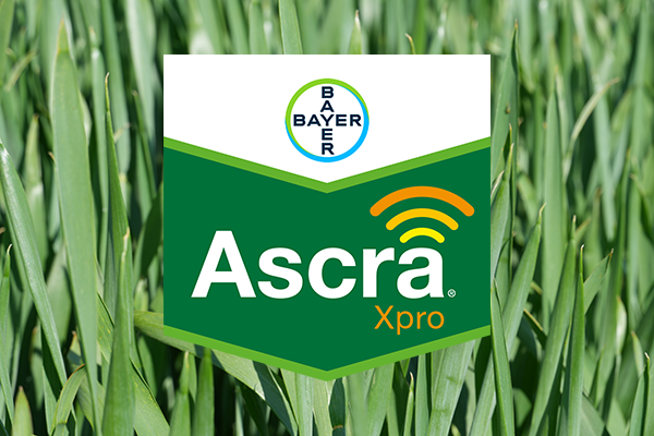 Ascra Xpro